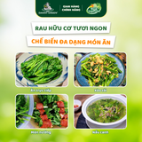 Túi Rau Cải Mèo Hữu Cơ 300g