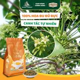 Trà Hoa Đu Đủ Đực DannyGreen 160g