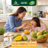 Xoài Cát Hòa Lộc Hữu Cơ