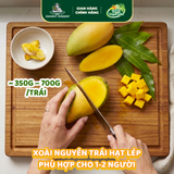 Xoài Cát Hòa Lộc Hữu Cơ