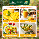 Xoài Cát Hòa Lộc Hữu Cơ