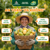 Xoài Cát Hòa Lộc Hữu Cơ