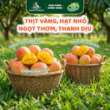 Xoài Táo Hữu Cơ DannyGreen