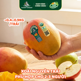 Xoài Táo Hữu Cơ DannyGreen