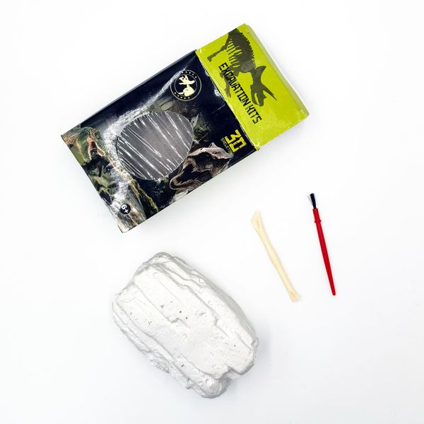 Mô hình hóa thạch khủng long trong trứng – Đồ chơi khai quật khám phá cho bé