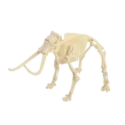 Bộ đồ chơi khai quật khảo cổ khủng long cao cấp – Kèm dụng cụ đào và mô hình xương