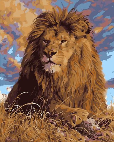 Bộ tranh canvas sư tử hoang dã 16 – Tranh tô màu theo số, Không khung, kèm màu, cọ, giấy phác thảo, hình mẫu