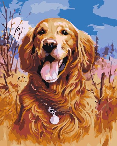 Bộ tranh canvas chó Golden 17 – Tranh tô màu theo số, Không khung, kèm màu, cọ, giấy phác thảo, hình mẫu