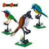 Mô hình lắp ráp chim Chào mào, Chim Sunbird đuôi chẽ, Chim Leafbird bụng cam BanBao 5123