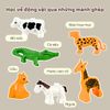 Bộ lắp ráp sở thú 99 chi tiết xây dựng thế giới tưởng tượng của bé, Stem tư duy, nhận biết động vật