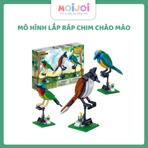 Mô hình lắp ráp chim Chào mào, Chim Sunbird đuôi chẽ, Chim Leafbird bụng cam BanBao 5123
