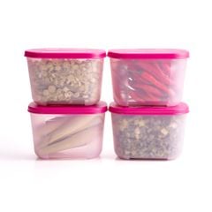 Bộ 4 Hộp Đựng Thực Phẩm Tupperware Trữ Đông Gen I Mini 300ml - Sheer Fdust