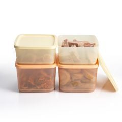 Bộ 4 hộp đựng thực phẩm Tupperware trữ khô và mát Cubix Square 1L và 650mL