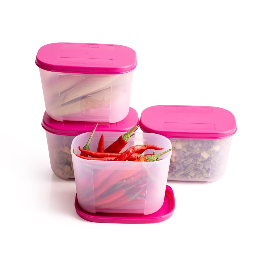 Bộ 4 Hộp Đựng Thực Phẩm Tupperware Trữ Đông Gen I Mini 300ml - Sheer Fdust