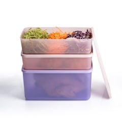 Bộ 3 hộp đựng thực phẩm Tupperware trữ khô và mát Cubix Rectangle 3.1L và 1.4L