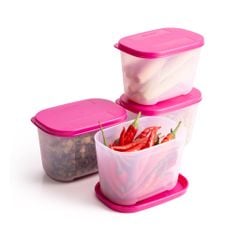 Bộ 4 Hộp Đựng Thực Phẩm Tupperware Trữ Đông Gen I Mini 300ml - Sheer Fdust