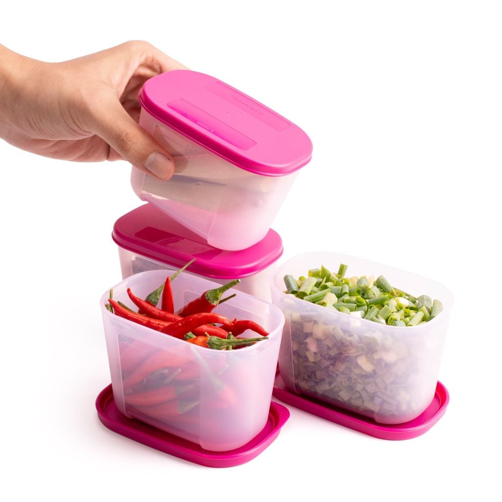 Bộ 4 Hộp Đựng Thực Phẩm Tupperware Trữ Đông Gen I Mini 300ml - Sheer Fdust