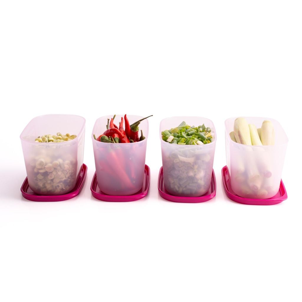 Bộ 4 Hộp Đựng Thực Phẩm Tupperware Trữ Đông Gen I Mini 300ml - Sheer Fdust