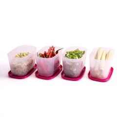 Bộ 4 Hộp Đựng Thực Phẩm Tupperware Trữ Đông Gen I Mini 300ml - Sheer Fdust