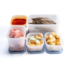 Bộ 5 hộp Tupperware trữ đông Gen II 450ml, 1.1L, 2.5L