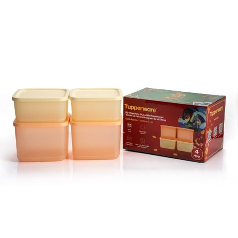 Bộ 4 hộp đựng thực phẩm Tupperware trữ khô và mát Cubix Square 1L và 650mL