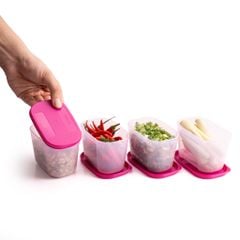Bộ 4 Hộp Đựng Thực Phẩm Tupperware Trữ Đông Gen I Mini 300ml - Sheer Fdust