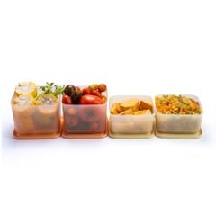 Bộ 4 hộp đựng thực phẩm Tupperware trữ khô và mát Cubix Square 1L và 650mL