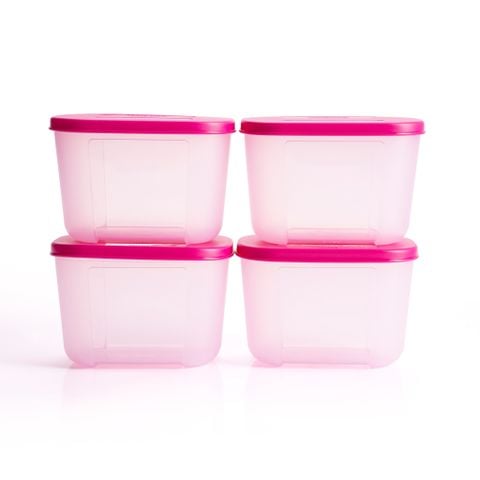 Bộ 4 Hộp Đựng Thực Phẩm Tupperware Trữ Đông Gen I Mini 300ml - Sheer Fdust