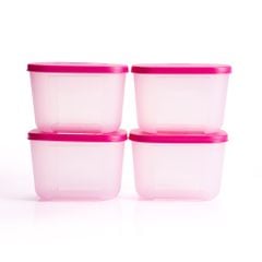 Bộ 4 Hộp Đựng Thực Phẩm Tupperware Trữ Đông Gen I Mini 300ml - Sheer Fdust