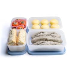 Bộ 4 hộp đựng thực phẩm Tupperware trữ đông Gen II 450ml và 1L