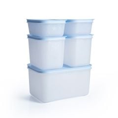 Bộ 5 hộp Tupperware trữ đông Gen II 450ml, 1.1L, 2.5L