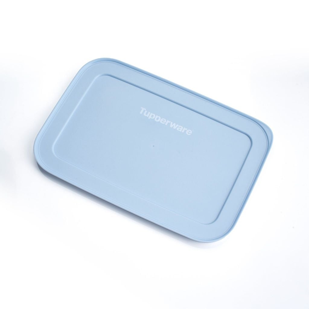 Bộ 4 hộp đựng thực phẩm Tupperware trữ đông Gen II 450ml và 1L