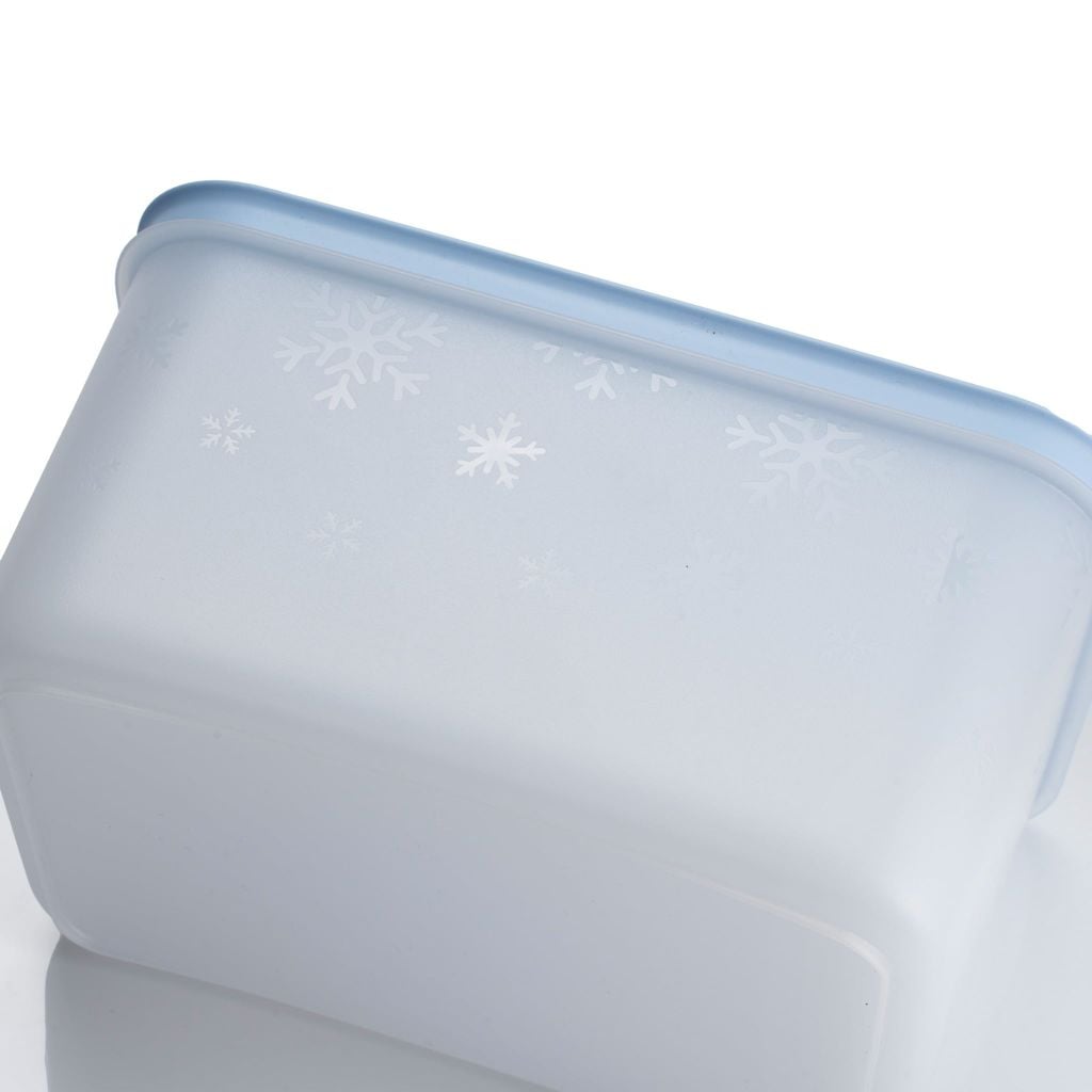 Bộ 5 hộp đựng thực phẩm Tupperware trữ đông Gen II 170ml, 1L, 1L1 và 2L5