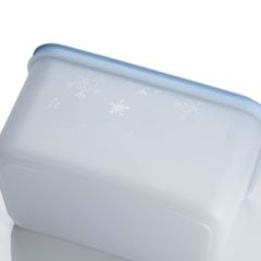 Bộ 5 hộp đựng thực phẩm Tupperware trữ đông Gen II 170ml, 1L, 1L1 và 2L5