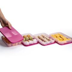 Bộ 4 hộp đựng thực phẩm Tupperware trữ đông Gen I Medium 650ml - Sheer Fdust