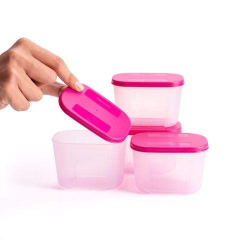 Bộ 4 Hộp Đựng Thực Phẩm Tupperware Trữ Đông Gen I Mini 300ml - Sheer Fdust