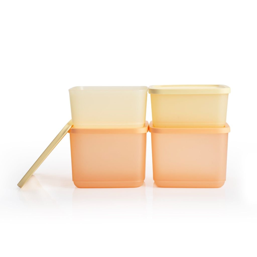 Bộ 4 hộp đựng thực phẩm Tupperware trữ khô và mát Cubix Square 1L và 650mL