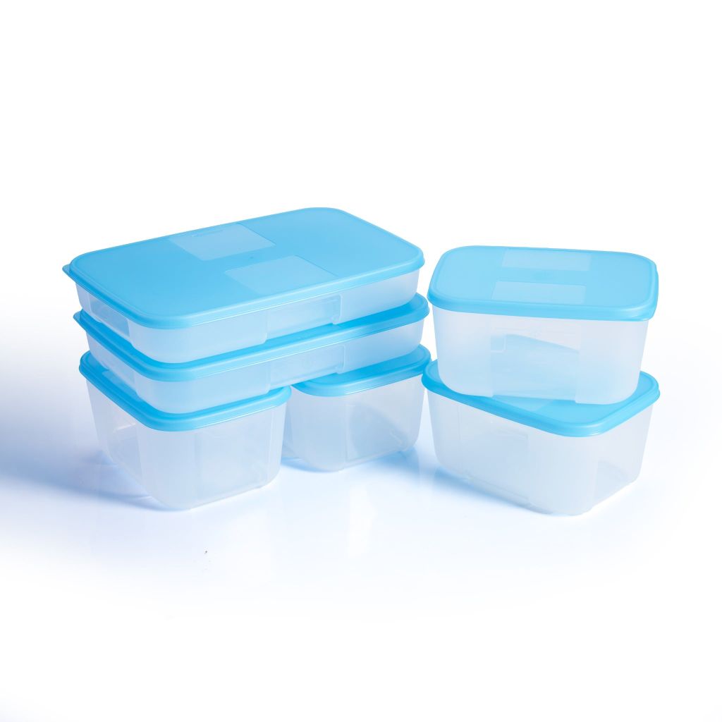 Bộ 6 hộp Tupperware trữ đông Gen I 650ml, 700ml