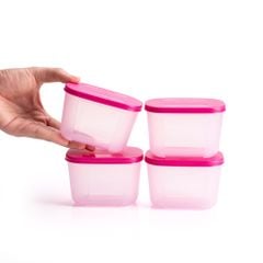 Bộ 4 Hộp Đựng Thực Phẩm Tupperware Trữ Đông Gen I Mini 300ml - Sheer Fdust