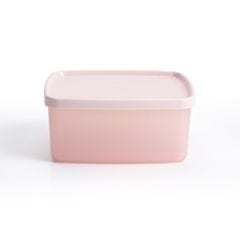 Bộ 2 hộp đựng thực phẩm Tupperware trữ khô và mát Stacking Square Small 400ml