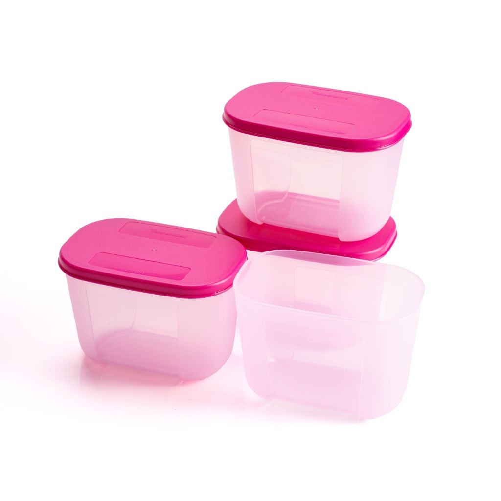 Bộ 4 Hộp Đựng Thực Phẩm Tupperware Trữ Đông Gen I Mini 300ml - Sheer Fdust