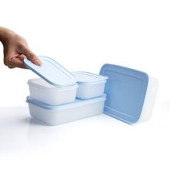 Bộ 4 hộp đựng thực phẩm Tupperware trữ đông Gen II 450ml và 1L