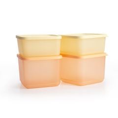 Bộ 4 hộp đựng thực phẩm Tupperware trữ khô và mát Cubix Square 1L và 650mL