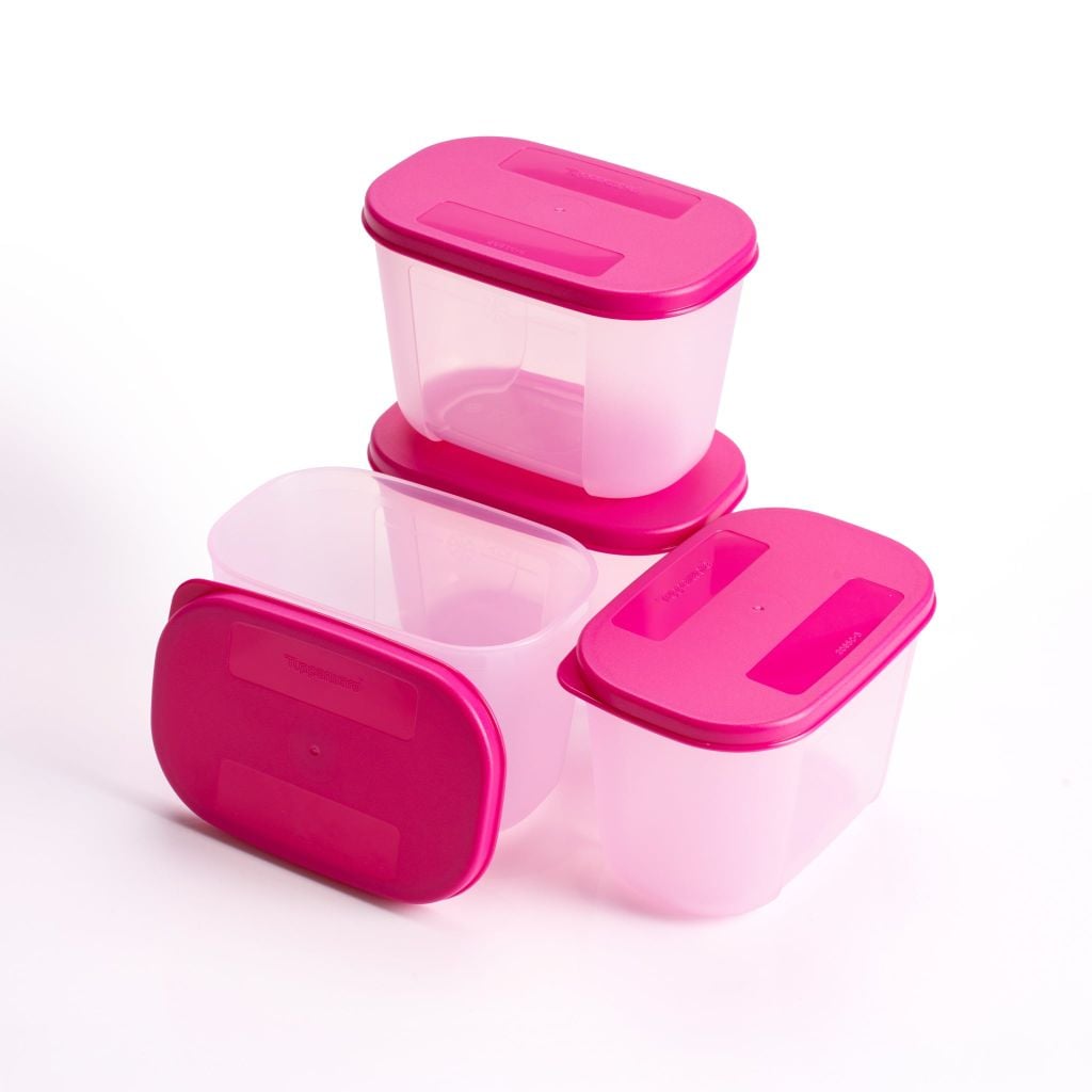 Bộ 4 Hộp Đựng Thực Phẩm Tupperware Trữ Đông Gen I Mini 300ml - Sheer Fdust