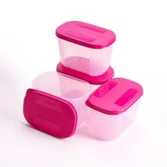 Bộ 4 Hộp Đựng Thực Phẩm Tupperware Trữ Đông Gen I Mini 300ml - Sheer Fdust