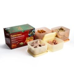 Bộ 4 hộp đựng thực phẩm Tupperware trữ khô và mát Cubix Square 1L và 650mL