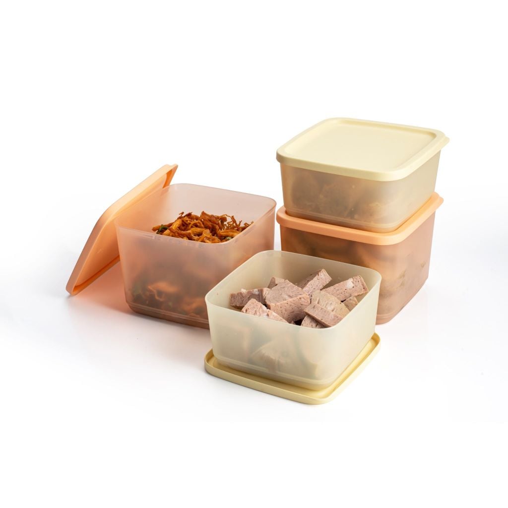 Bộ 4 hộp đựng thực phẩm Tupperware trữ khô và mát Cubix Square 1L và 650mL