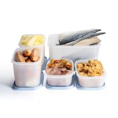 Bộ 5 hộp Tupperware trữ đông Gen II 450ml, 1.1L, 2.5L