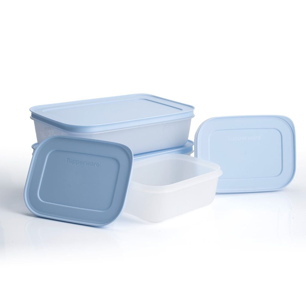 Bộ 4 hộp đựng thực phẩm Tupperware trữ đông Gen II 450ml và 1L