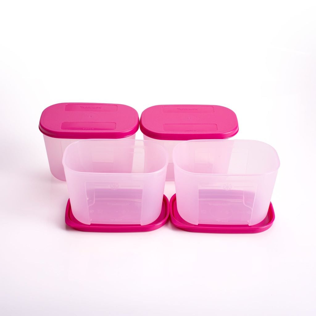 Bộ 4 Hộp Đựng Thực Phẩm Tupperware Trữ Đông Gen I Mini 300ml - Sheer Fdust